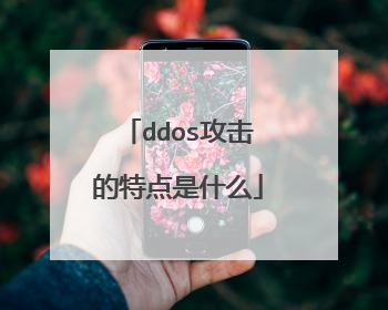 ddos攻击的特点是什么