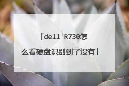 dell R730怎么看硬盘识别到了没有