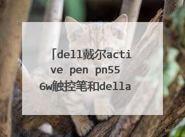 dell戴尔active pen pn556w触控笔和della03触控笔有什么区别
