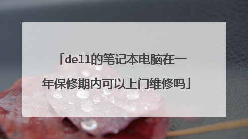 dell的笔记本电脑在一年保修期内可以上门维修吗