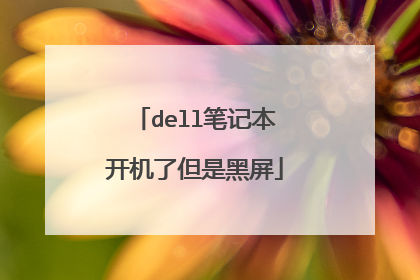 dell笔记本开机了但是黑屏