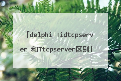 delphi Tidtcpserver 和Ttcpserver区别