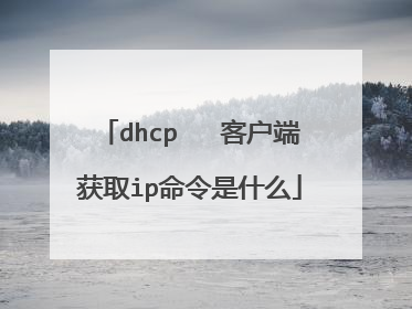 dhcp 客户端获取ip命令是什么