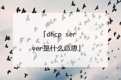 dhcp server是什么意思