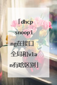 dhcp snooping在接口 全局和vlan有啥区别