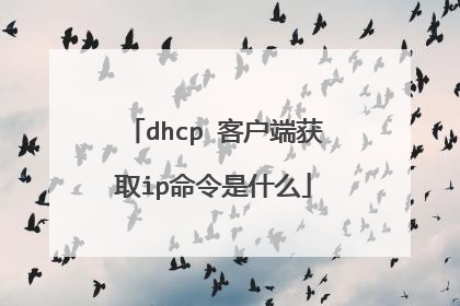 dhcp 客户端获取ip命令是什么