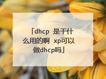 dhcp 是干什么用的啊 xp可以做dhcp吗