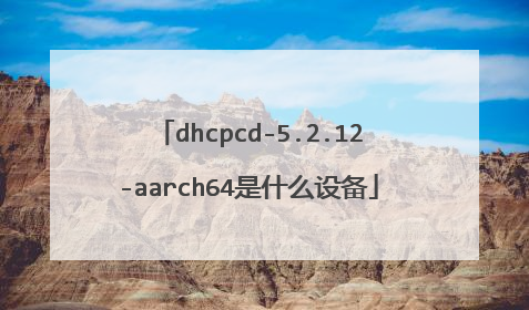 dhcpcd-5.2.12-aarch64是什么设备