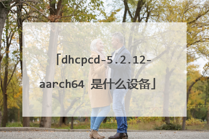 dhcpcd-5.2.12-aarch64 是什么设备
