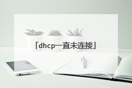 dhcp一直未连接