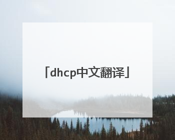 dhcp中文翻译