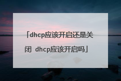 dhcp应该开启还是关闭 dhcp应该开启吗