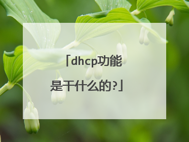dhcp功能是干什么的?