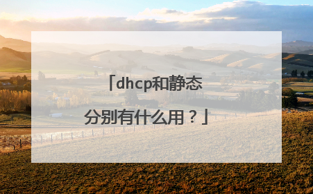 dhcp和静态分别有什么用?