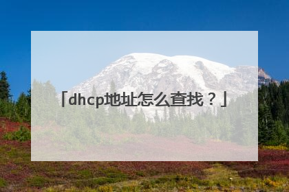 dhcp地址怎么查找?