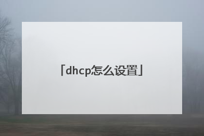 dhcp怎么设置