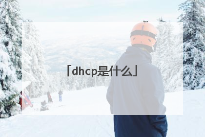 dhcp是什么