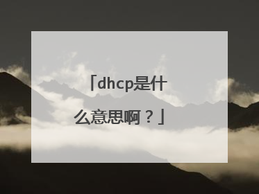 dhcp是什么意思啊?