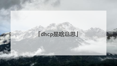dhcp是啥意思