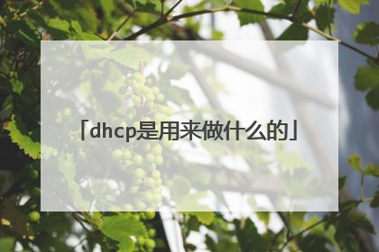dhcp是用来做什么的