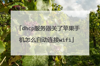 dhcp服务器关了苹果手机怎么自动连接wifi