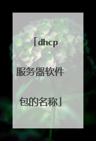 dhcp服务器软件包的名称