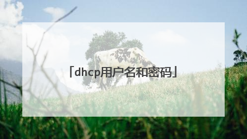 dhcp用户名和密码
