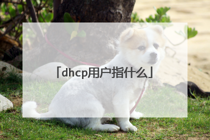 dhcp用户指什么