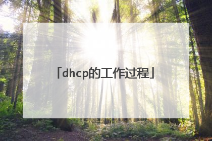 dhcp的工作过程