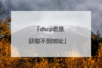 dhcp老是获取不到地址