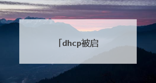 dhcp被启用是什么意思
