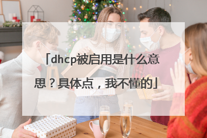 dhcp被启用是什么意思?具体点,我不懂的