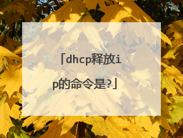 dhcp释放ip的命令是?