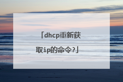 dhcp重新获取ip的命令?