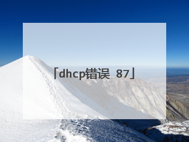 dhcp错误 87