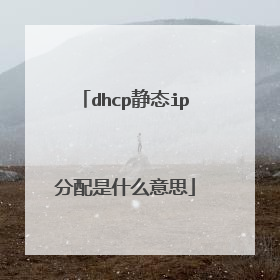 dhcp静态ip分配是什么意思