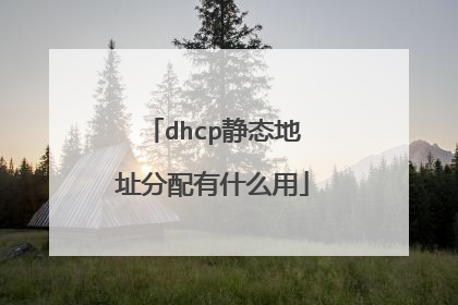 dhcp静态地址分配有什么用