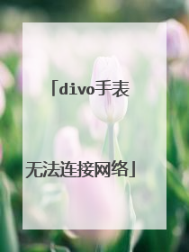 divo手表无法连接网络