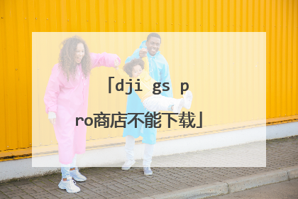 dji gs pro商店不能下载