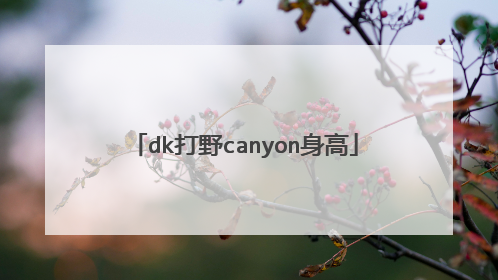 dk打野canyon身高