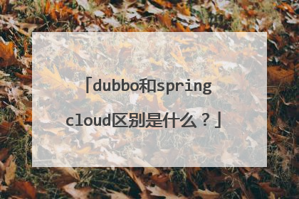 dubbo和spring cloud区别是什么？