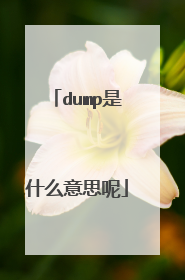 dump是什么意思呢