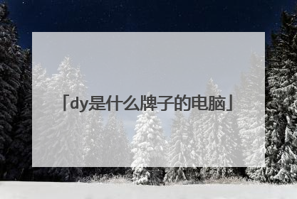 dy是什么牌子的电脑