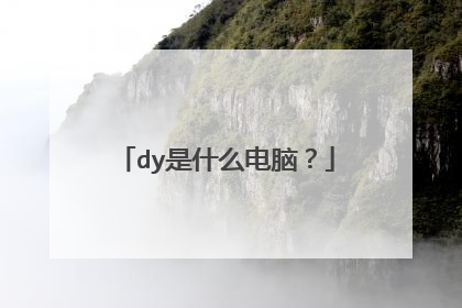 dy是什么电脑?