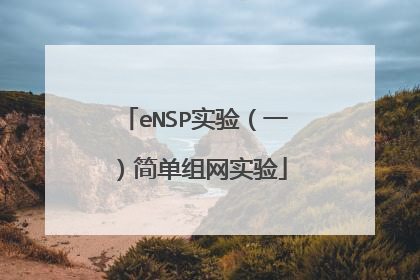 eNSP实验(一)简单组网实验