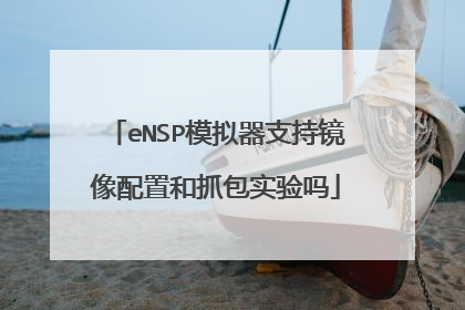eNSP模拟器支持镜像配置和抓包实验吗