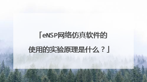 eNSP网络仿真软件的使用的实验原理是什么？
