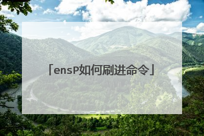 ensP如何刷进命令