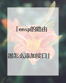 ensp的路由器怎么添加接口