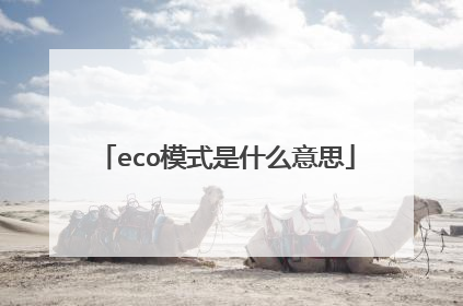 eco模式是什么意思